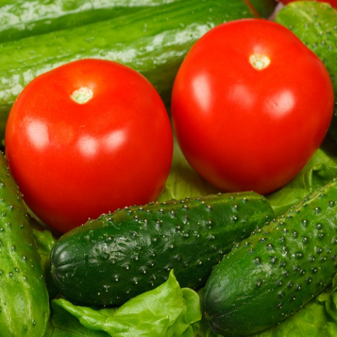 Автомобильные весы «Тензо-М» на крупнейшем агрохолдинге России